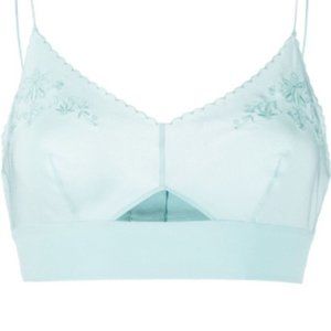 Alberta Ferretti floral-embroidered Silk Bra